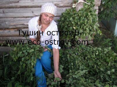 Веник березовый свежий - 150 руб/шт